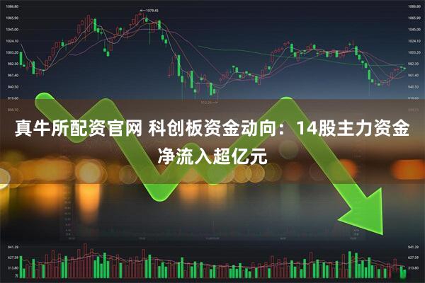真牛所配资官网 科创板资金动向：14股主力资金净流入超亿元