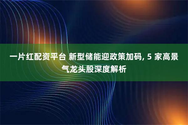 一片红配资平台 新型储能迎政策加码, 5 家高景气龙头股深度解析